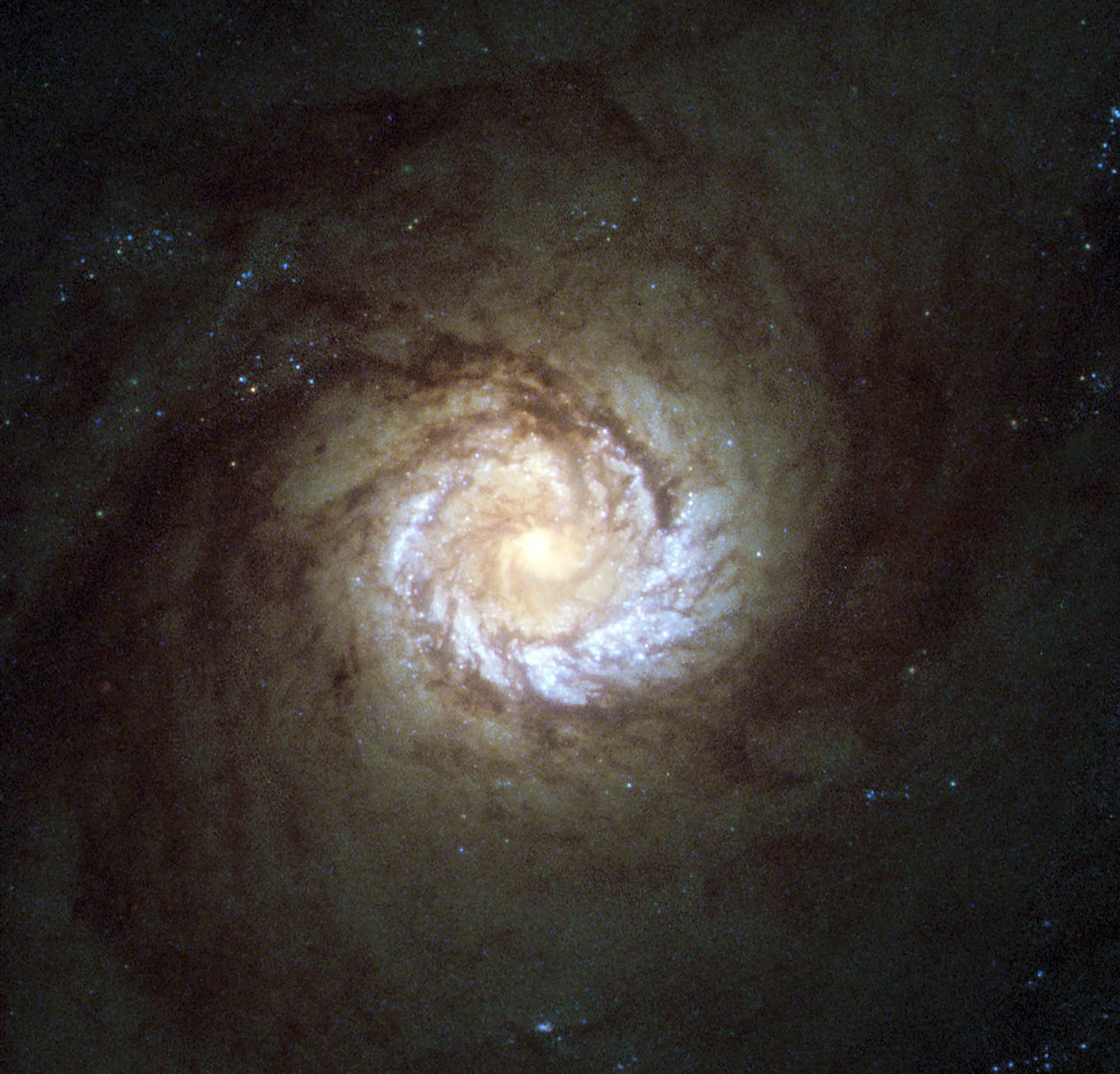 Черные дыры в ядрах галактик. M61 Мессье. M 61 (Галактика). Спиральная Галактика м74. Мессье 61.