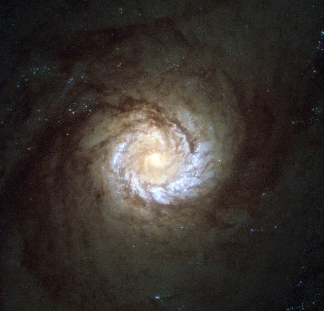 The core of the spiral galaxy Messier 61. Also known as NGC 4303, this galaxy is roughly 100,000 light-years across, comparable in size to our galaxy, the Milky Way. (Photo by Reuters/NASA/ESA/Hubble)