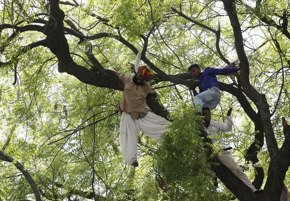 A Farmer Committed Suicide During a Rally in New Delhi