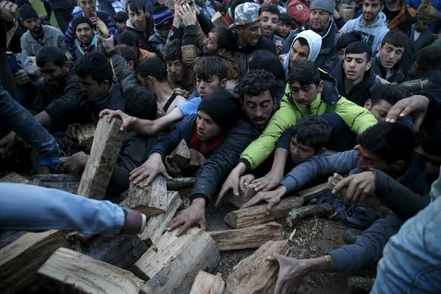 Migrants who are waiting to cross the Greek-Macedonian border, scuffle to get a shipment of firewood near the village of Idomeni, Greece March 6, 2016. (Photo by Marko Djurica/Reuters)