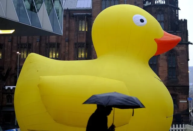 A man carries an umbrella as he walks past a giant, inflatable duck being used to advertise bathrooms in Manchester, northern England, March 24, 2016. (Photo by Phil Noble/Reuters)