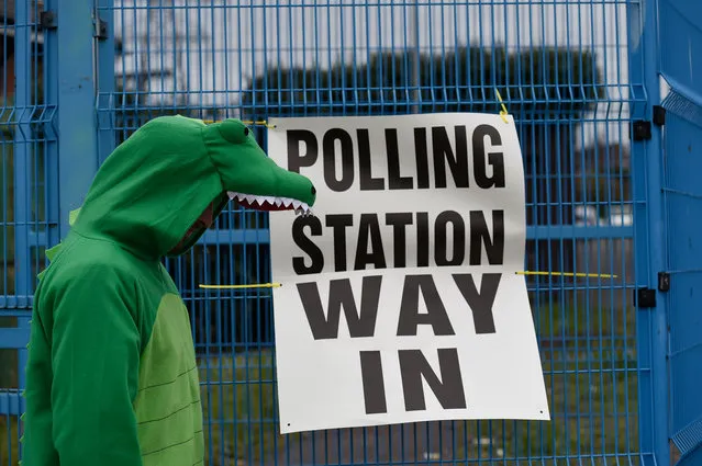 A man dressed as a Crocodile walks into a polling station in West Belfast, Northern Ireland March 2, 2017. (Photo by Clodagh Kilcoyne/Reuters)