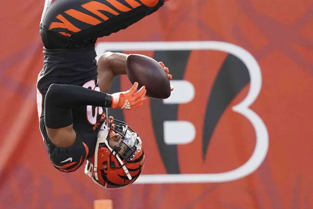 Cincinnati Bengals' Tyler Boyd (83) does a flip following a touchdown reception during the first half of an NFL football game against the Baltimore Ravens, Sunday, December 26, 2021, in Cincinnati. (Photo by Jeff Dean/AP Photo)