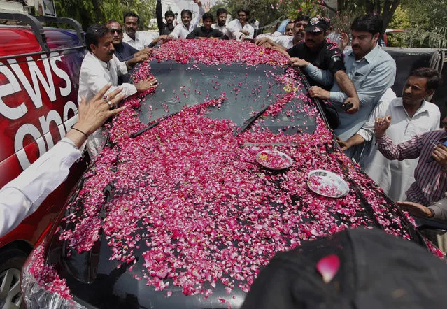 Supporters shower rose-petals on a vehicle carrying Ali Haidar Gilani, son of former Pakistani Prime Minister Yusuf Raza Gilani upon arrival at his residence in Lahore, Pakistan, Wednesday, May 11, 2016. Gilani, the son of a former Pakistani prime minister who was freed from kidnappers in a dramatic military rescue in Afghanistan arrived back home Wednesday and reunited with family, officials and family members said. (Photo by K.M. Chaudary/AP Photo)