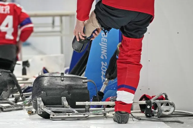 Czech Republic's Jiri Raul prepares to get into his sledge during his para ice hockey preliminary round match against Italy at the 2022 Winter Paralympics, Saturday, March 5, 2022, in Beijing. (Photo by Dita Alangkara/AP Photo)