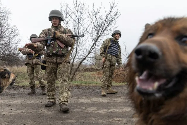 A dog is seen as Ukrainian soldiers stand at their position outside the village of Barvinkove, Kharkiv region, as Russia's invasion on Ukraine continues, in Ukraine, April 12, 2022. (Photo by Marko Djurica/Reuters)