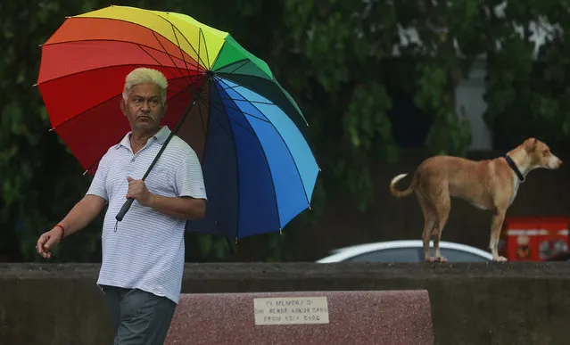 An Indian man holds an umbrella as he walks near a stray dog during monsoon rains in Mumbai, Maharashtra state, India, Thursday, July 23, 2015. (Photo by Rafiq Maqbool/AP Photo)