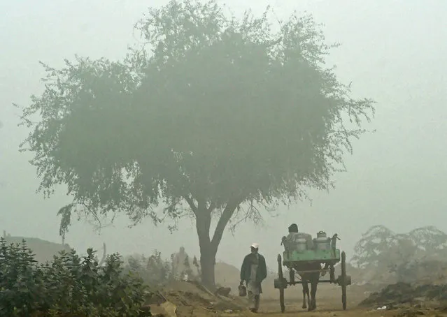 A Pakistani man walks past a horse and cart during fog in Lahore on December 9, 2016. (Photo by Arif Ali/AFP Photo)