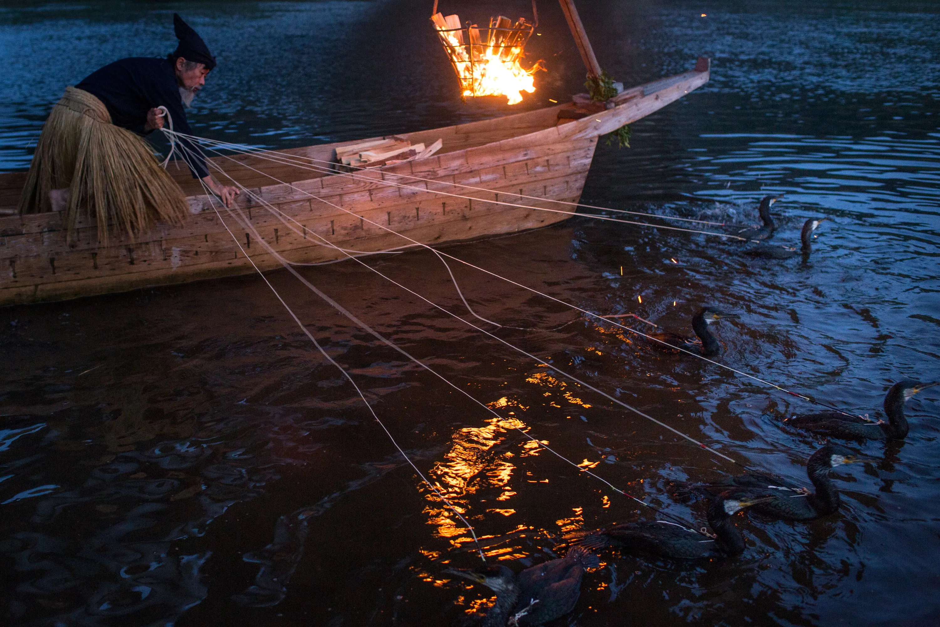 рыбы китайского моря