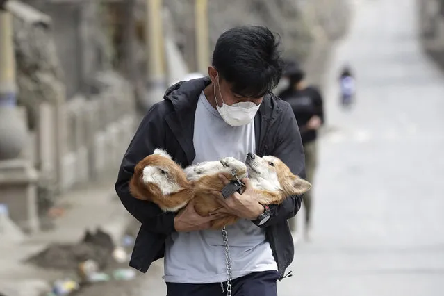An animal volunteer carries a dog he rescued from deserted homes near Taal volcano as residents evacuated to safer grounds leaving some of their pets behind in Talisay, Batangas province, southern Philippines on Wednesday January15, 2020. Taal volcano is spewing lava into the sky and trembled constantly, possibly portending a bigger and more dangerous eruption, as tens of thousands of people fled villages darkened and blanketed by heavy ash. (Photo by Aaron Favila/AP Photo)