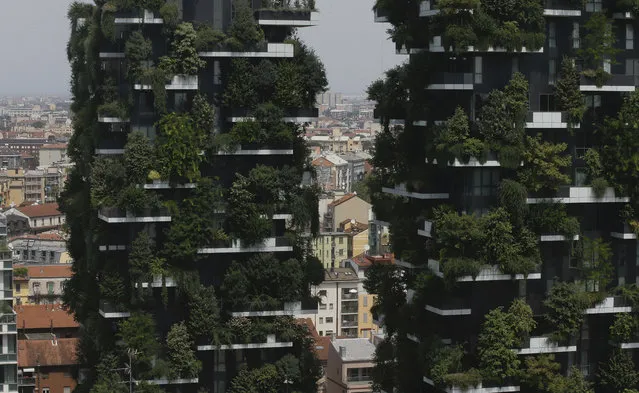 The twin towers of the “Bosco Verticale” (Vertical Forest) residential buildings at the Porta Nuova district, frame a view of Milan, Italy, Thursday, August 3, 2017. Designed by the Boeri studio, it was named “2015 Best Tall Building Worldwide” by th  Council on Tall Buildings and Urban Habitat. (Photo by Luca Bruno/AP Photo)