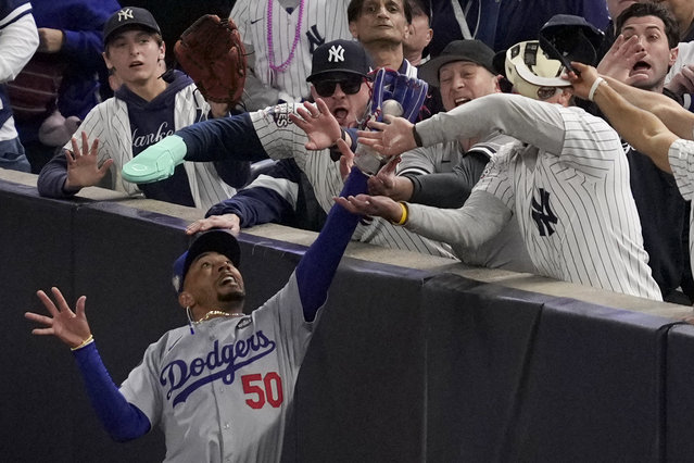 Fans interfere with a foul ball caught by Los Angeles Dodgers right fielder Mookie Betts during the first inning in Game 4 of the baseball World Series against the New York Yankees, Tuesday, October 29, 2024, in New York. (Photo by Ashley Landis/AP Photo)