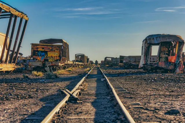 Rusting rail cars and train skeletons are pictured against striking skies. Staring ventured out to explore the area a few hours before sunset. (Photo by Chris Staring/Rex Features/Shutterstock)