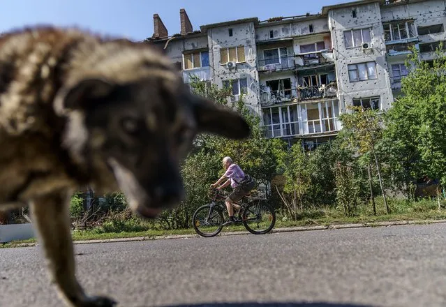 A bicyclist and a stray dog move past a damaged apartment building from a May rocket attack in Sloviansk, Donetsk region, eastern Ukraine, Saturday, August 6, 2022. The echo of artillery shells thundering in the distance mingles with the din of people gathered around Sloviansk's public water pumps, piercing the uneasy quiet that smothers the nearly deserted streets of this eastern Ukrainian city. (Photo by David Goldman/AP Photo)