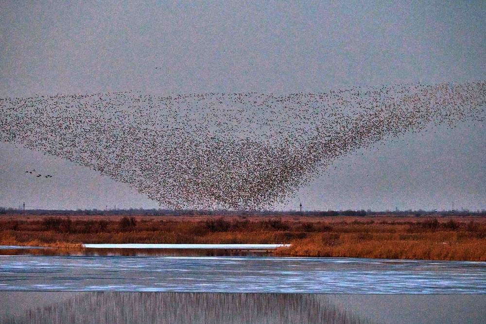 A Look at Life in China