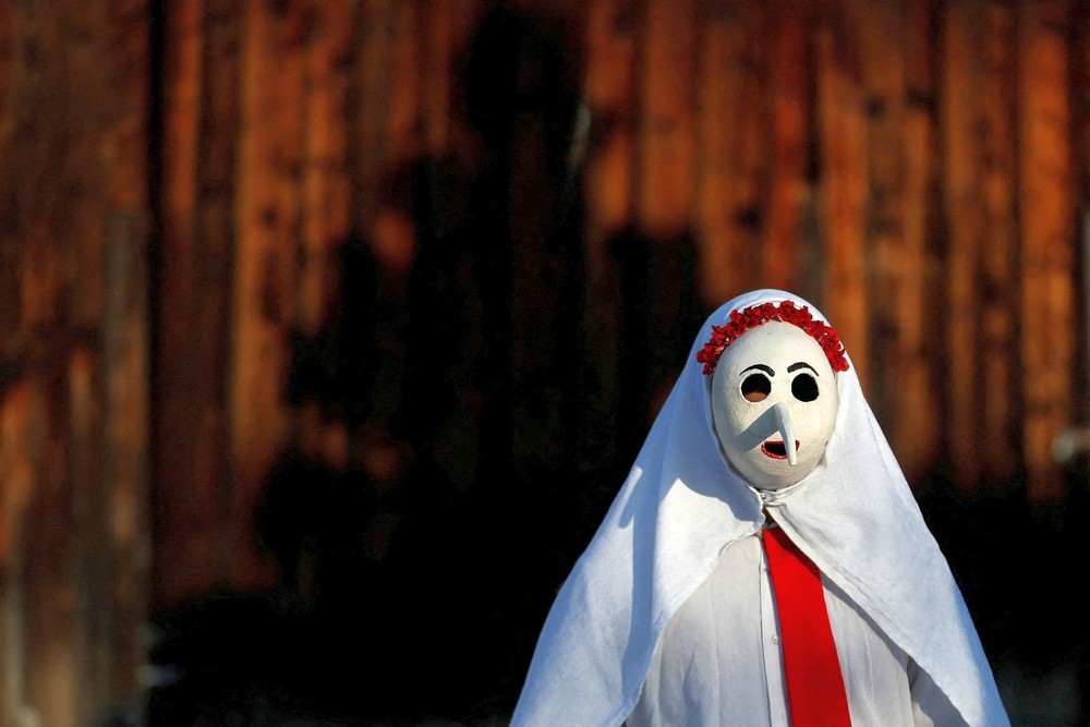 Pictures of the Year 2023, Part 214/224