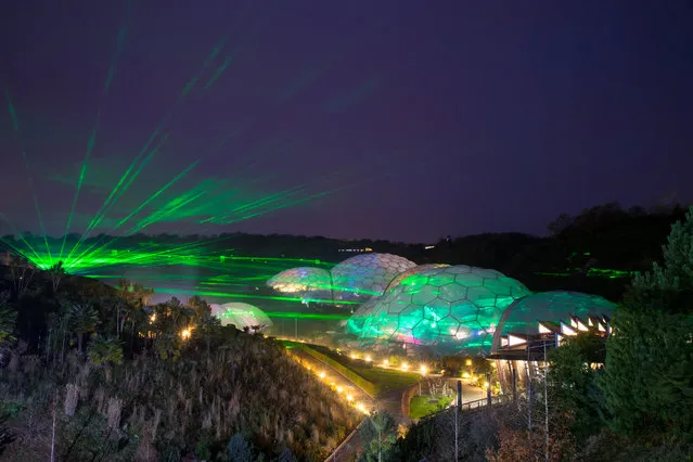 Lasers from the Eden Festival of Light and Sound illuminate the Biomes at The Eden Project near St Austell on November 23, 2017 in Cornwall, England. A new laser light and sound show curated by renowned light artist Chris Levine, featuring original soundscapes, will be the highlight of the Eden Project's Christmas celebrations and will be open to the public from November 25 to December 30. Visitors to home of the world-famous Biomes in Cornwall, standing on the viewing platform will be able to watch lasers pierce through the darkness to create a canopy of light, painting the Biomes outside and the plant displays inside, with festive colours, whilst inside the Mediterranean Biome there will be the stage for a choreographed performance of after dark music and light. (Photo by Matt Cardy/Getty Images)