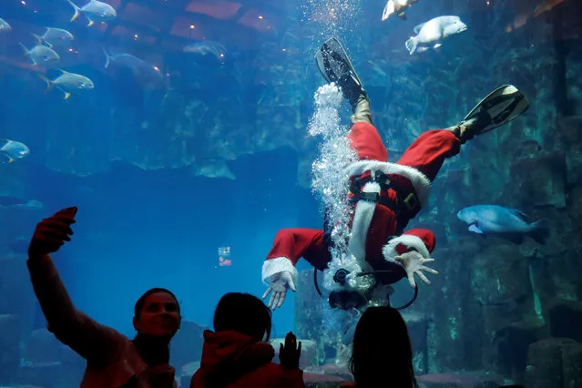 Visitors react as a diver dressed as Santa Claus swims with fish at the Aquarium of Paris, France, December 22, 2017. (Photo by Charles Platiau/Reuters)