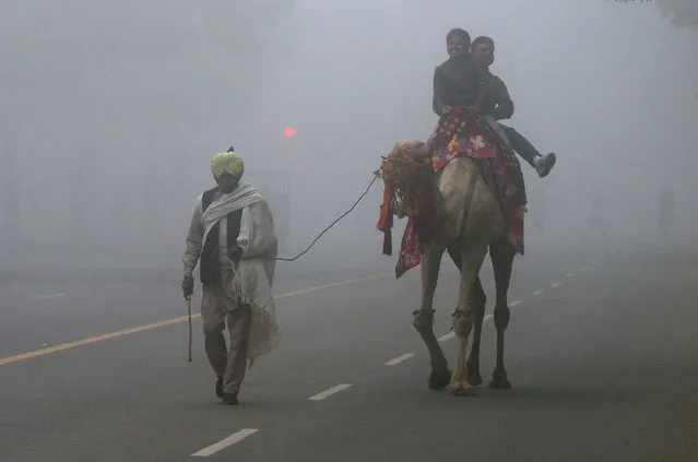 A man leads a camel with tourists taking a ride on it amidst heavy fog on a winter morning in Chandigarh, India, January 28, 2018. (Photo by Ajay Verma/Reuters)