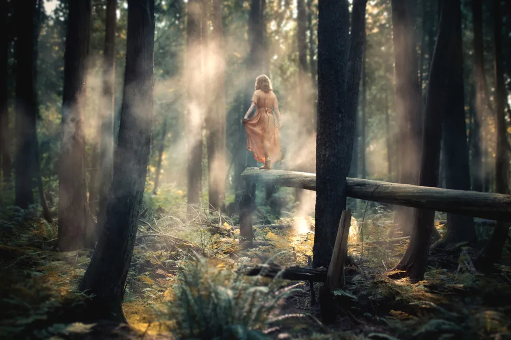 Photography by Elizabeth Gadd