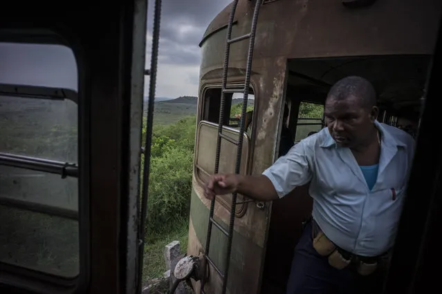 In this August 26, 2015 photo, a train conductor walks from car to car, collecting passenger tickets on the electric Hershey train as it travels toward the Casablanca municipality of Havana, Cuba. Trains connecting Cuba's capital with the former chocolate company town of Hershey in Matanzas province are filled with tourists who pay less than 50 cents for the trip as the island floods with visitors after the declaration of detente with the United States. (Photo by Ramon Espinosa/AP Photo)