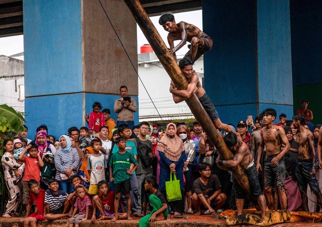 Participants climb a greasy pole during a traditional game called “Panjat Pinang” to collect prizes hung at the top during celebrations to mark Indonesia's 80th Independence Day, along the Kalimalang river in Jakarta on August 17, 2025. (Photo by Aditya Irawan/AFP Photo)
