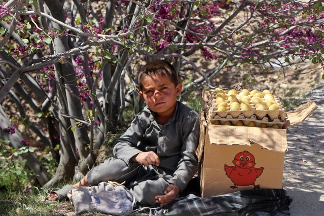 An Afghan boy selling eggs, waits for customers at the Tap-e-Gul Ghundi recreational park in Charikar, Parwan province on April 11, 2025. (Photo by Abdul Shahmim Tanha/AFP Photo)