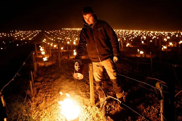 A wine grower lights heaters early in the morning, to protect vineyards from frost damage outside Chablis, France, April 7, 2021. (Photo by Pascal Rossignol/Reuters)