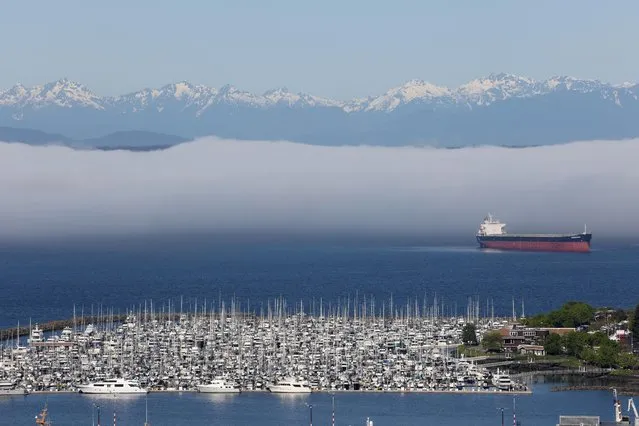 A cargo ship, boat marina and the Olympic Mountains are visible from the Queen Anne neighborhood of Seattle, Washington, U.S. May 14, 2021. (Photo by Karen Ducey/Reuters)