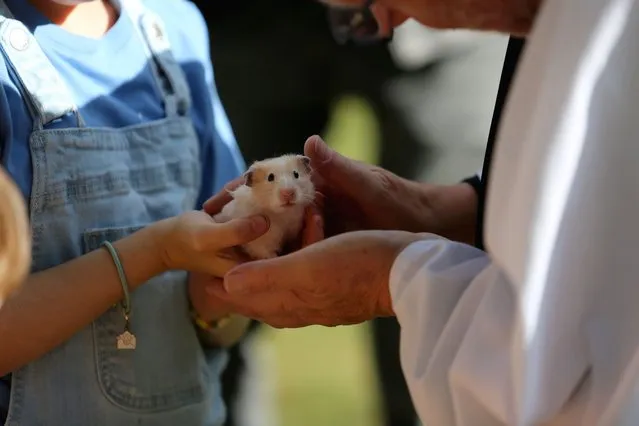 Reverend Peter Wall blesses a hamster during “The Blessing of Animals” at St. James Cathedral in Toronto, Ontario, Canada on September 30, 2023. (Photo by Mert Alper Dervis/Anadolu Agency via Getty Images)