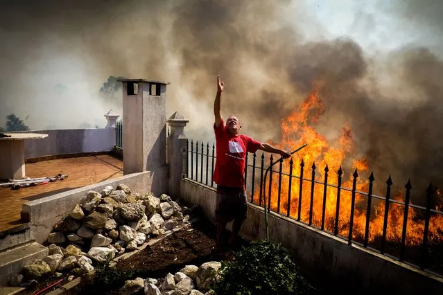 A inhabitant pours water onto the flames during a forest fire in Canecas, outskirts of Lisbon, Portugal, 10 July 2022. Portugal's President warned that the risk of fires will reach a peak in the next few days and a worsening of the situation is expected from 12 July. (Photo by Mario Cruz/EPA/EFE)