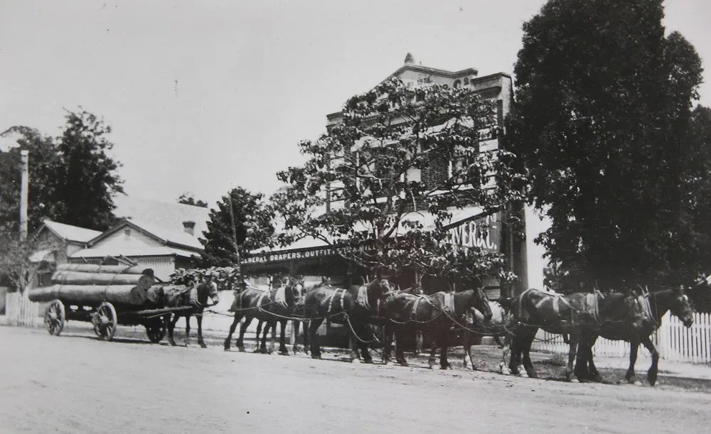 Workhorse in the Past