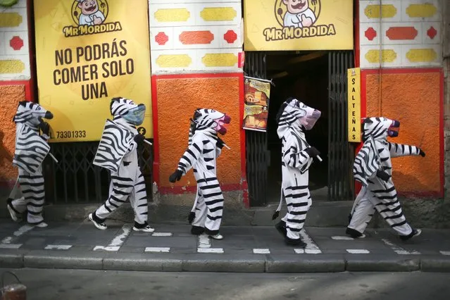 Members of the Zebras program walk on a street during a road educators' work day in La Paz, Bolivia on October 03, 2022. The Bolivian program of volunteers in road education Zebras is based on the existence of road educators with zebra uniforms who carry out tasks of support and organization of pedestrian flows, in addition to reflecting through theatrical-style training to drivers of vehicles in the seat of government. The program that began in 2001 achieved great success, being recognized by various national and international organizations, the initiative was replicated in different cities of the country. (Photo by Luis Gandarillas/Anadolu Agency via Getty Images)