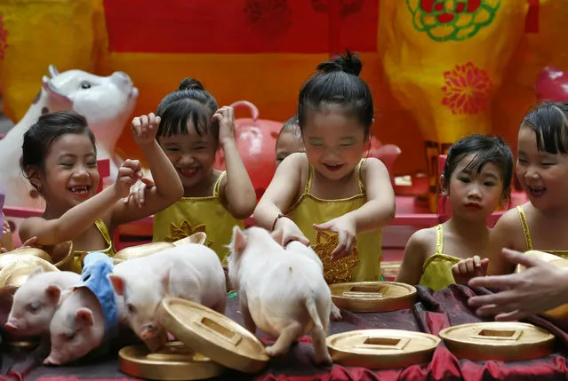 Girls play with live Teacup pigs, a rare pet in the country, at the start of celebrations leading to the Lunar New Year, Friday, February 1, 2019 at Lucky Chinatown Plaza mall in Manila, Philippines. The upcoming Year of the Pig represents abundance, diligence and generosity. (Photo by Bullit Marquez/AP Photo)
