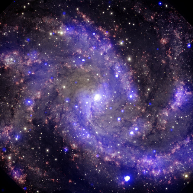 The NGC 6946, a spiral galaxy about 22 million light years away from Earth also referred to as the Fireworks Galaxy. In the past century, eight supernovas have been observed to explode in the arms of this galaxy. (Photo by Reuters/NASA)