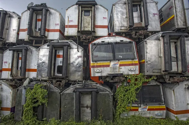 Overgrown shrubbery has infiltrated the carriages, on February 27, 2015, in Purwakarta, Indonesia. (Photo by HKV/Barcroft Media)