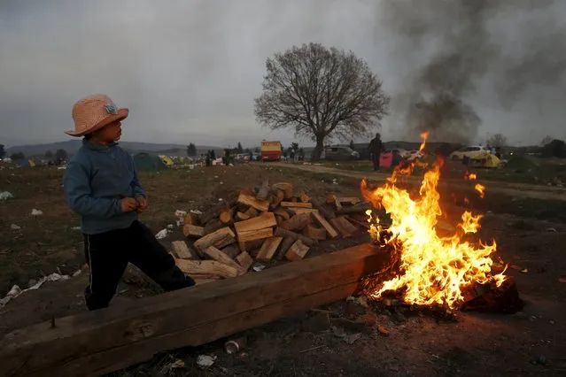 A young migrant who is waiting to cross the Greek-Macedonian border, stands by a fire near the village of Idomeni, Greece March 6, 2016. (Photo by Marko Djurica/Reuters)