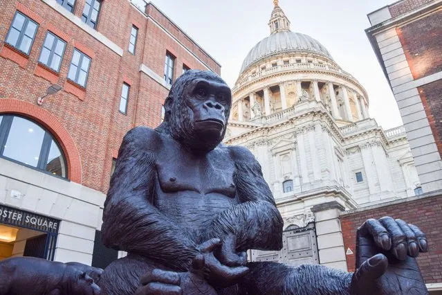 A giant gorilla statue on show at the Wild About Babies exhibition in Paternoster Square in London, UK on January 10, 2024, which aims to raise awareness of endangered species and wildlife conservation. (Photo by Vuk Valcic/ZUMA Press Wire/Rex Features/Shutterstock)