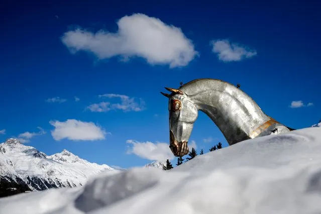 A picture taken on March 17, 2016 shows the head of “The Trojan Horse” sculpture weighing 5,2 tonnes and measuring 14 metres high by 20 metres long in Saint Moritz. The sculpture whose hollowed-out body has been made into a private lounge, celebrates events linked to the animal in the luxury resort, as the Snow Polo World Cup or White Turf races. (Photo by Fabrice Coffrini/AFP Photo)