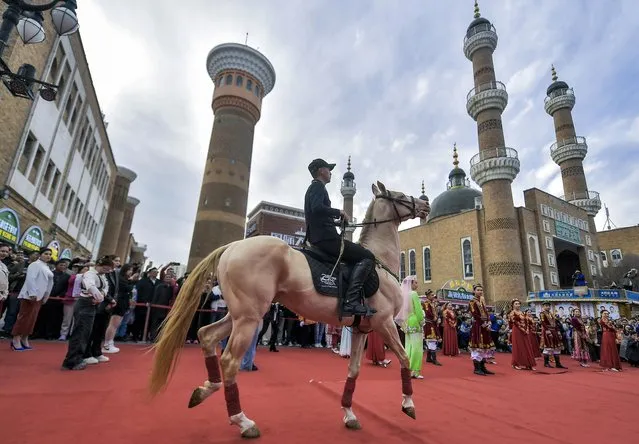 Akhal-Teke horses make debut at the Xinjiang International Grand Bazaar in Urumqi City, northwest China's Xinjiang Uygur Autonomous Region, 11 April, 2024. (Photo by Rex Features/Shutterstock)