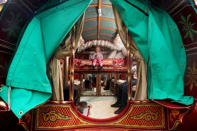 Dollie-Anna English, 4, from Bradford, gets comfy inside a traditional roll top caravan in Settle, North Yorkshire on May 28, 2024. She and her family are travelling to the Appleby Horse Fair, which begins next Thursday. (Photo by Lorne Campbell/Guzelian)
