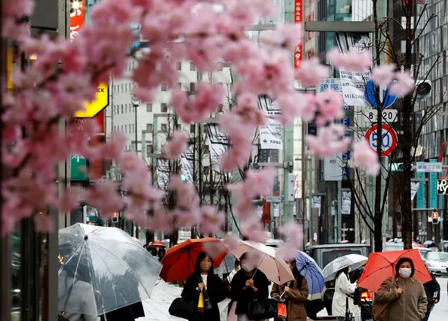 Pedestrians wearing protective face masks, amid the coronavirus disease (COVID-19) pandemic, are seen behind artificial cherry blossom decorations at a shopping district on the first day after the lifting of COVID-19 restrictions imposed on Tokyo and 17 other prefectures, in Tokyo, Japan, March 22, 2022. (Photo by Kim Kyung-Hoon/Reuters)