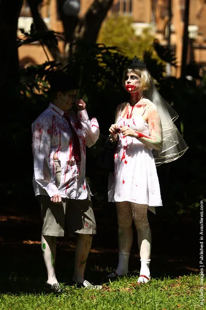 Zombies Walk Sydney City Streets