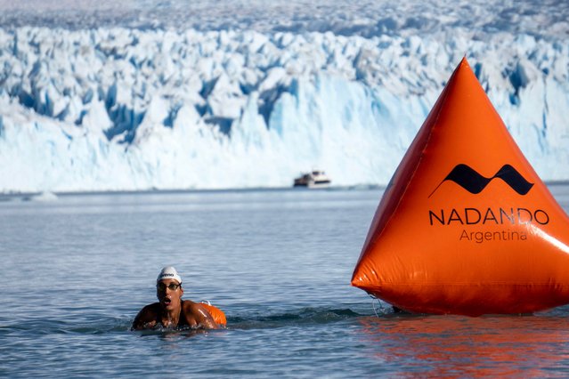 A swimmer competes during the Winter Swimming World Cup in front of the Perito Moreno Glacier at Los Glaciares National Park in El Calafate, Santa Cruz province, Argentina, on August 13, 2024. The competition, featuring more than 100 swimmers from 14 countries, is the first stage of the IWSA World Cup. (Photo by Walter Diaz/AFP Photo)