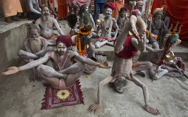 Indian Sadhus or Hindu holy men perform Yoga to mark the International Yoga Day at Kamakhya temple in Gauhati, India , Wednesday, June 21, 2017. Yoga practitioners took a relaxing break to bend, twist and pose Wednesday morning for the annual event celebrating the practice, especially in the country where it began. (Photo by Anupam Nath/AP Photo)