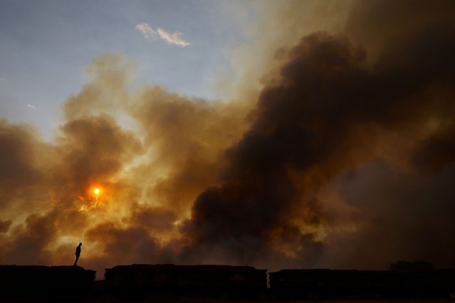 A man looks at smoke rising from wildfires in Brasilia National Park, in Brasilia, Brazil, on September 16, 2024. (Photo by Ueslei Marcelino/Reuters)