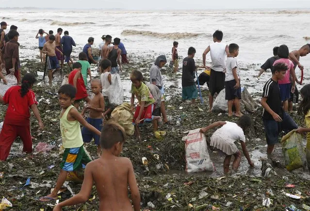 Residents gather salvageable items amidst debris brought at the onslaught of Typhoon Rammasun, (locally named Glenda) along the seashore of the coastal town of Rosario, Cavite southwest of Manila, July 16, 2014. The typhoon killed at least 10 people as it churned across the Philippines and shut down the capital, cutting power and prompting the evacuation of almost more than 370,000 people, rescue officials said on Wednesday. (Photo by Erik De Castro/Reuters)