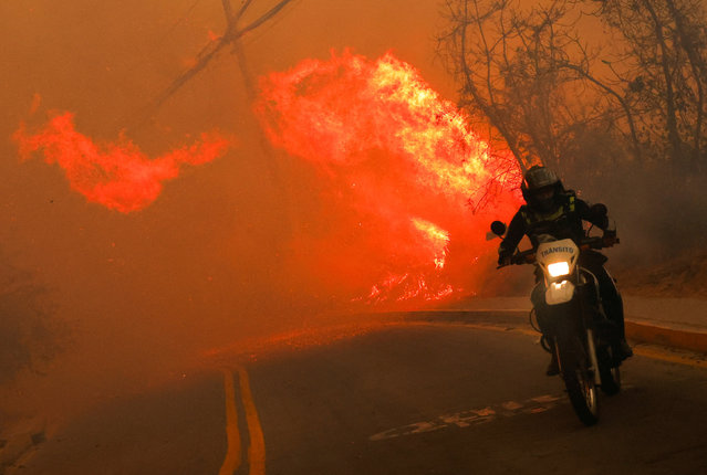 A transit agent rides a motorcycle as a wildfire burns, in Quito, Ecuador on September 24, 2024. (Photo by Karen Toro/Reuters)