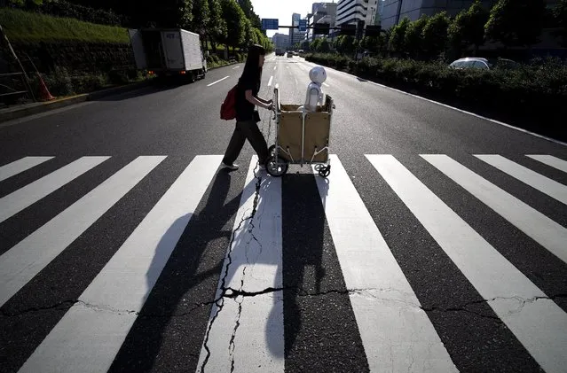 Tomomi Ota pushes a cart loaded with her humanoid robot Pepper in the early morning on her way to work in Tokyo, Japan, 27 June 2016. Reaching 120cm in height and 28 kilograms in weight, Pepper does not enter in the category of portable robot. But those characteristics dont stop Tomomi Ota to take Pepper in a cart to stroll in her neighborhood, go shopping or even take the subway. In June 2014, when Pepper was presented for the first time by Japanese telecommunications and Internet corporation Softbank at a press event, Tomomi looked at the presentation via a live broadcast on Ustream. (Photo by Franck Robichon/EPA)