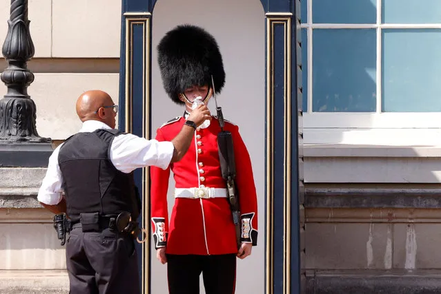 A member of the Queen's Guard receives water to drink during the hot weather, outside Buckingham Palace in London, Britain, July 18, 2022. (Photo by John Sibley/Reuters)